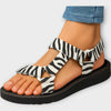 Zebra - Black / 6