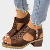 Brown Terra / 4